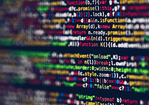 Image Développement Web